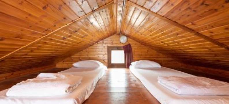 诺夫基尼尔特酒店(Nof Kinnert)图片