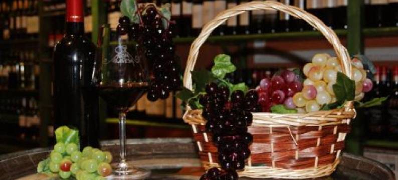 埃西耶格别墅酒店(Villa de Elciego)图片