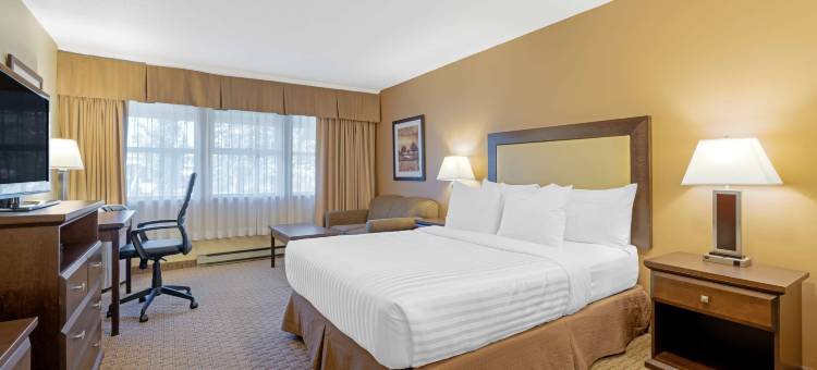 翡翠岛贝斯特韦斯特优质汽车旅店(Best Western Plus Emerald Isle Hotel)图片