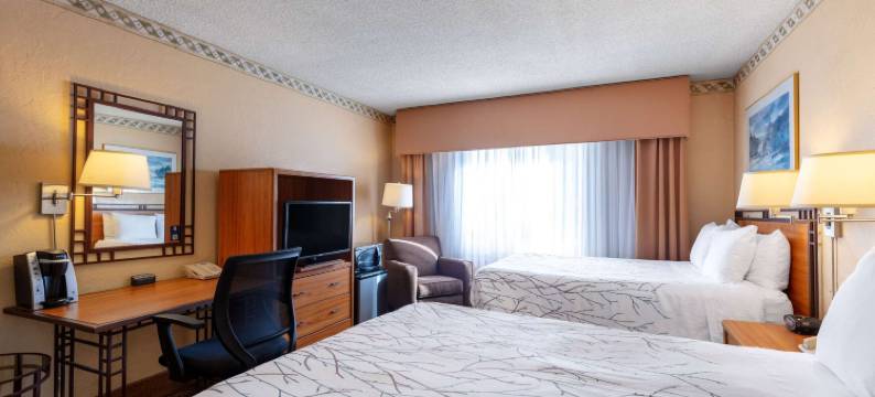 西雅图太空针塔Travelodge by Wyndham酒店(Travelodge by Wyndham Seattle by The Space Needle)图片