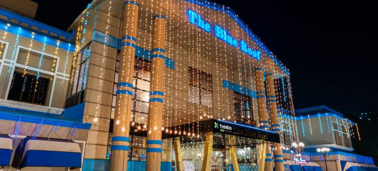 Treebo 蓝屋顶(Treebo the Blue Roof)图片