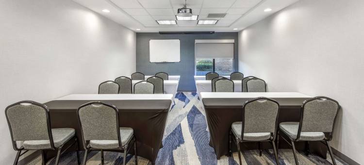 舒适套房酒店-惠特塞特格林斯博罗东(Comfort Suites Whitsett - Greensboro East)图片