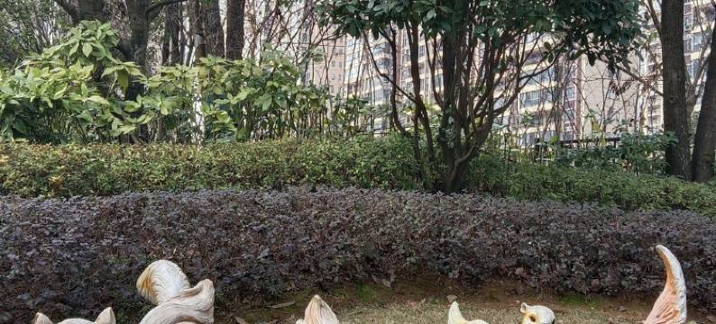 诚信为本都市逸家民宿(龙泉湖路分店)图片