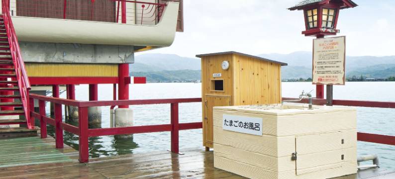 望湖楼(Bokoro Ryokan)图片