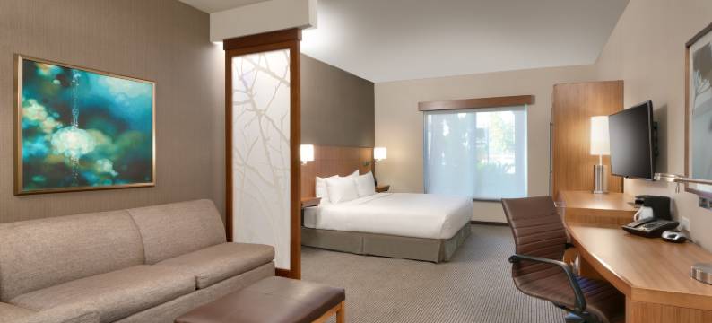 凯悦嘉轩酒店-阿纳海姆度假村及会议中心(Hyatt Place at Anaheim Resort / Convention Center)图片