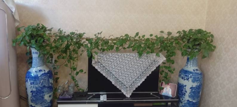 潮流特色民宿(泰安北路分店)图片