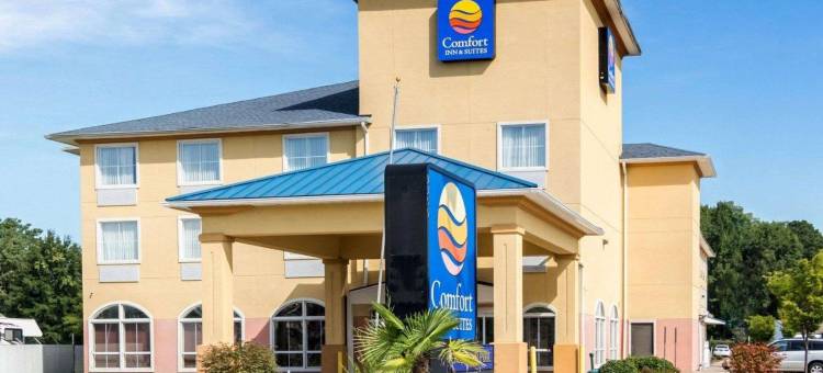 切萨皮克朴茨茅斯舒适套房酒店(Comfort Inn & Suites Chesapeake - Portsmouth)图片