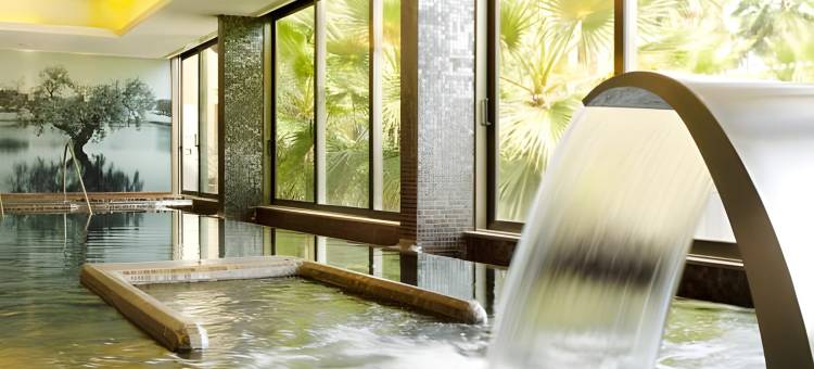 AP蒙塔尔吉尔会议与温泉酒店(AP Lago Montargil - Conference & Spa)图片