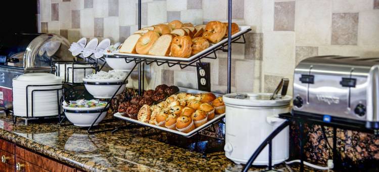 贝瑟默伯明翰南舒适酒店(Comfort Inn Bessemer Birmingham South)图片