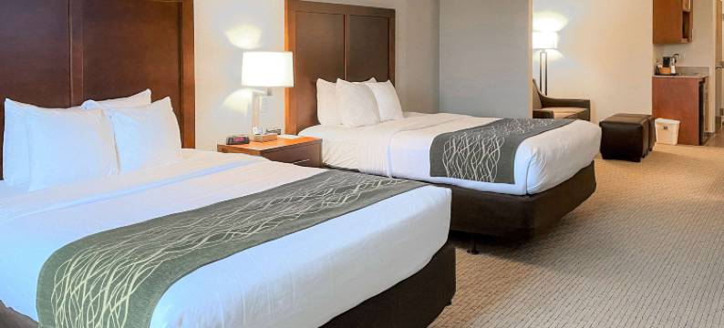 舒适酒店及套房罗杰斯维尔(Comfort Inn & Suites)图片