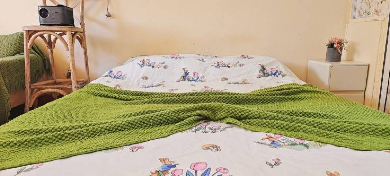 上大宝山校区民宿(锦秋路4号分店)图片