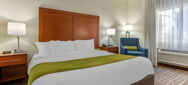 凤凰城北/鹿谷舒适套房酒店(Comfort Inn & Suites Phoenix North - Deer Valley)图片