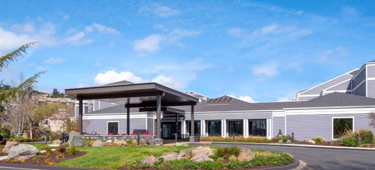 旧金山拉克斯珀兰丁/马林郡万怡酒店(Courtyard San Francisco Larkspur Landing/Marin County)图片