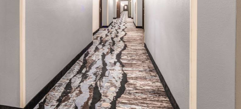 凯艺酒店(Quality Inn & Suites)图片