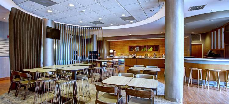 哈里斯堡赫尔希万豪SpringHill酒店(SpringHill Suites Harrisburg Hershey)图片