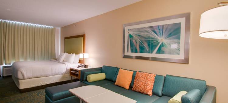 奥兰多莱克布纳维斯塔南SpringHill Suites 酒店(SpringHill Suites Orlando Lake Buena Vista South)图片