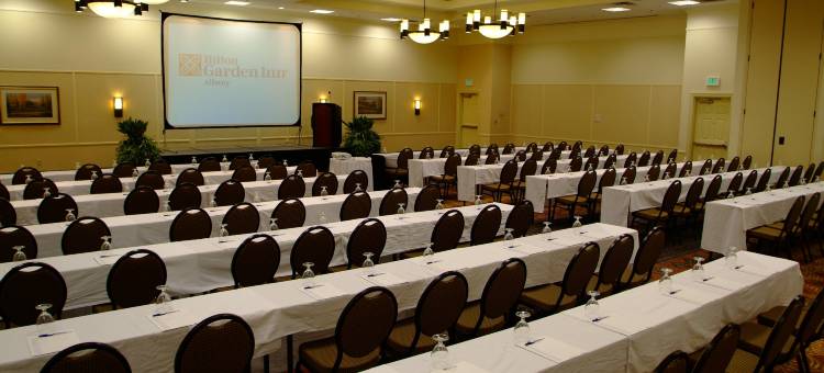 阿尔巴尼希尔顿花园酒店(Hilton Garden Inn Albany)图片