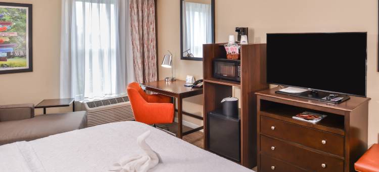 夏洛特阿罗伍德路欢朋套房酒店(Hampton Inn & Suites Charlotte-Arrowood Rd.)图片
