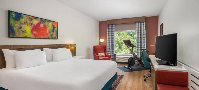 希尔顿花园酒店-亚特兰大桃树市(Hilton Garden Inn Atlanta/Peachtree City)图片