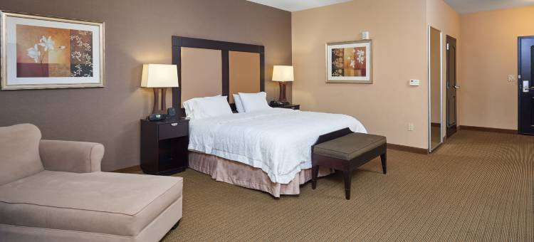 迪凯特欢朋套房酒店(Hampton Inn & Suites Decatur)图片