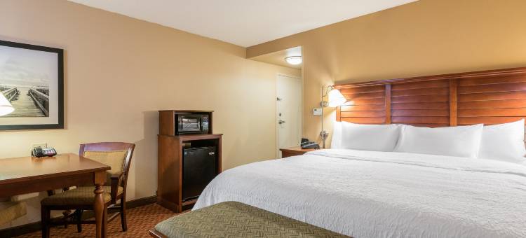 佛罗伦萨北I-95欢朋套房酒店(Hampton Inn & Suites Florence-North-I-95)图片