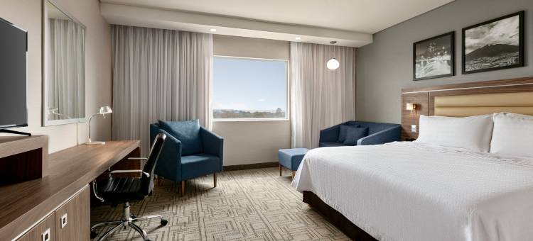 蒙特雷-阿波达卡希尔顿欢朋酒店(Hampton by Hilton Monterrey Apodaca)图片