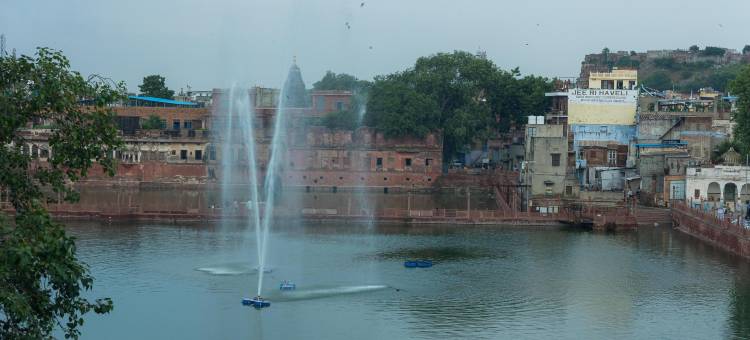 帕尔哈维里旅馆(Haveli Inn Pal)图片