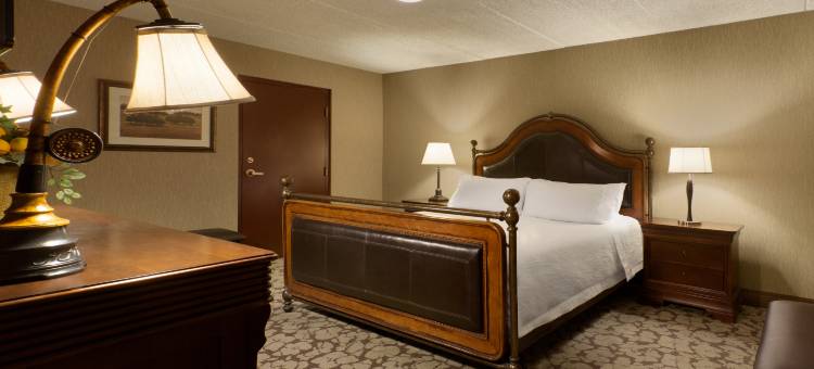 罗切斯特/皮茨福德希尔顿花园酒店(Hilton Garden Inn Rochester/Pittsford)图片