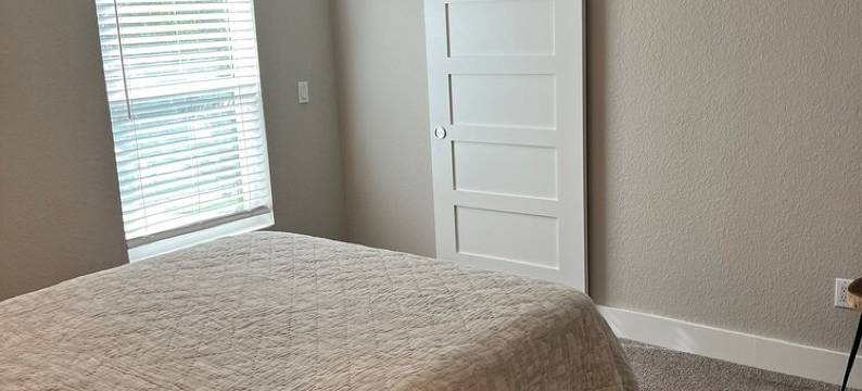 Experience the Best of Downtown St. Pete!图片