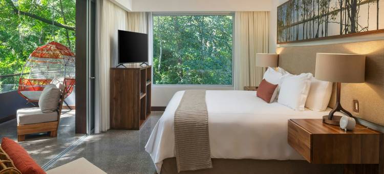 艾尔曼格鲁弗酒店-傲途格精选(El Mangroove, Autograph Collection)图片