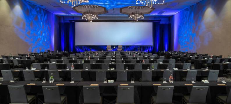 达拉斯艾迪生万丽酒店(Renaissance Dallas Addison Hotel)图片