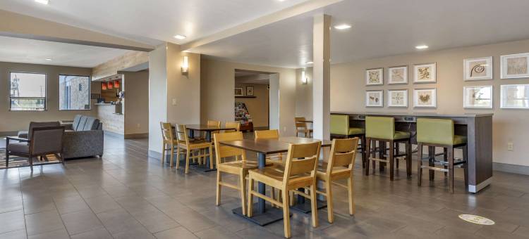 利物浦舒适酒店及套房-锡拉丘兹北(Comfort Inn & Suites Liverpool - Syracuse North)图片