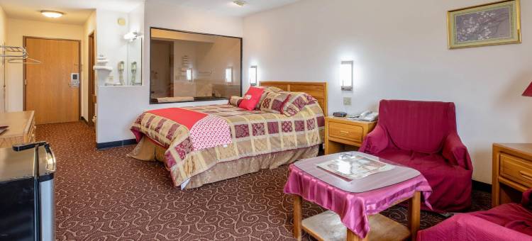 OYO切萨宁52号公路及57号高速公路酒店(OYO Hotel Chesaning Route 52 & Hwy 57)图片