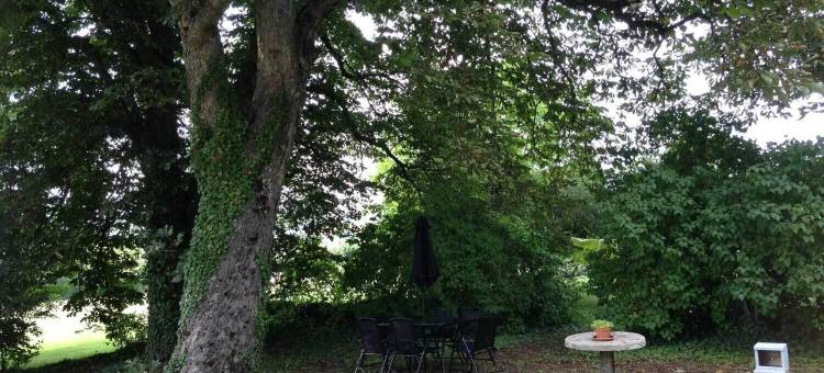 巴黎古监狱庄园酒店(La Conciergerie du Manoir)图片