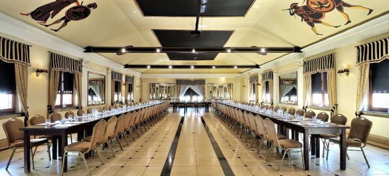 希隆斯克地区谢米亚诺维采瓦坎扎钻石酒店(Hotel Diament Vacanza Katowice - Siemianowice)图片