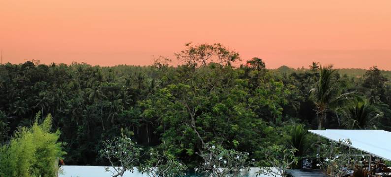 乌布比斯玛8号酒店(Bisma Eight Hotel)图片