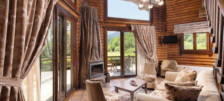 纳图拉小屋旅馆(Natura Chalets)图片