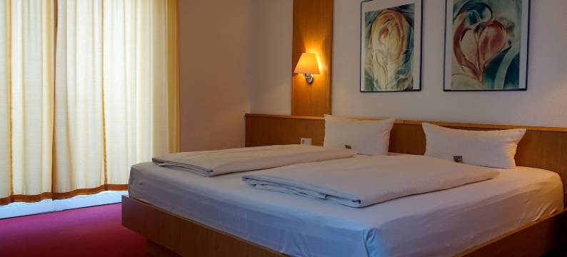 海恩山酒店(Hainberg Hotel)图片