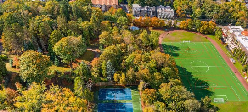 尤达的沼泽套房(Yoda's Swamp Suite)图片