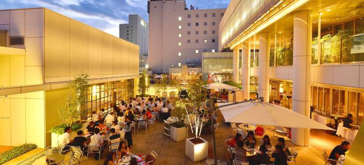 丰桥阿尔克利希酒店(Hotel Arc Riche Toyohashi)图片