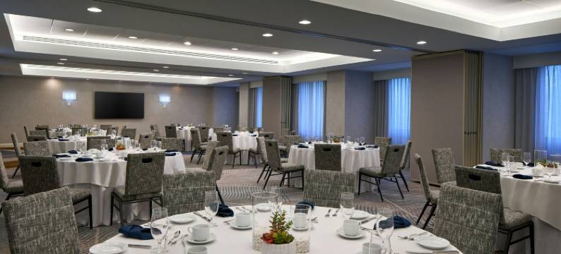 华盛顿杜勒斯万豪套房酒店(Washington Dulles Marriott Suites)图片