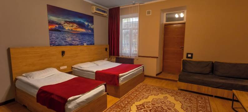 科伊莎青年旅舍(Koisha)图片