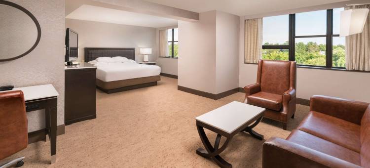 萨拉托加希尔顿酒店(The Saratoga Hilton)图片