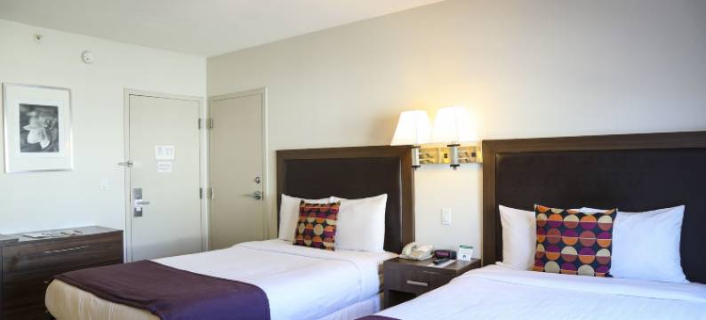 柯林斯酒店(Collins Hotel)图片