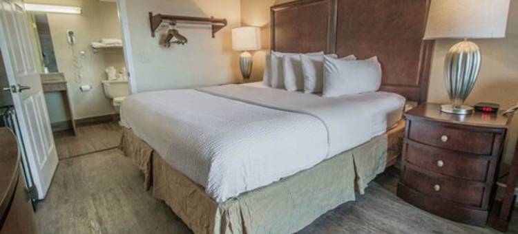 沃尔顿堡滩温德姆戴斯酒店(Days Inn by Wyndham Fort Walton Beach)图片