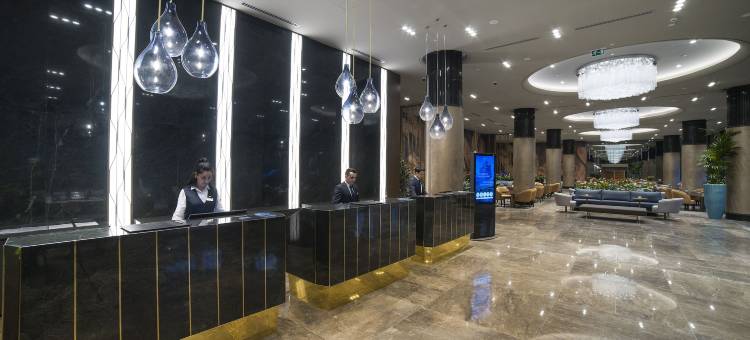 瓦迪斯坦布尔丽笙精选酒店(Radisson Collection Hotel Vadistanbul)图片