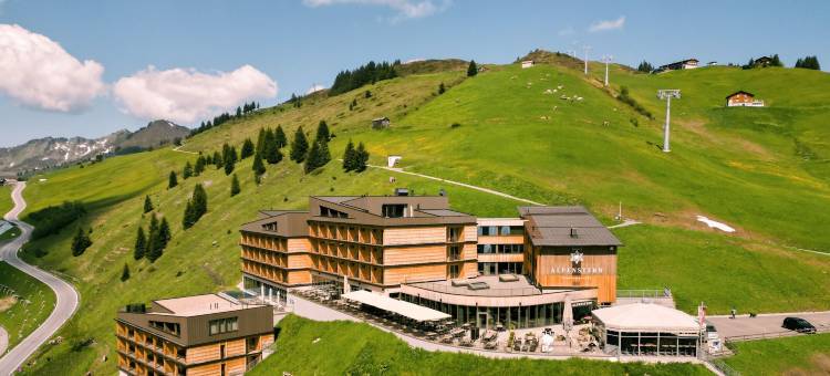 阿尔卑斯之星酒店(Hotel Alpenstern)图片