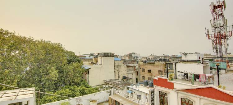 特雷布潮流罗克韦尔广场酒店(Treebo Rockwell Plaza)图片