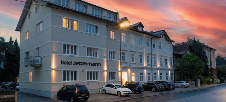 杰德曼酒店(Das Jedermann Boutiquehotel Mit Stadtgarten)图片