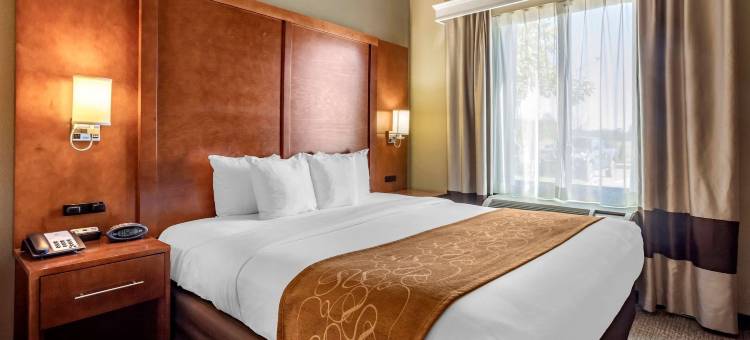 舒适套房酒店(Comfort Suites Batesville)图片